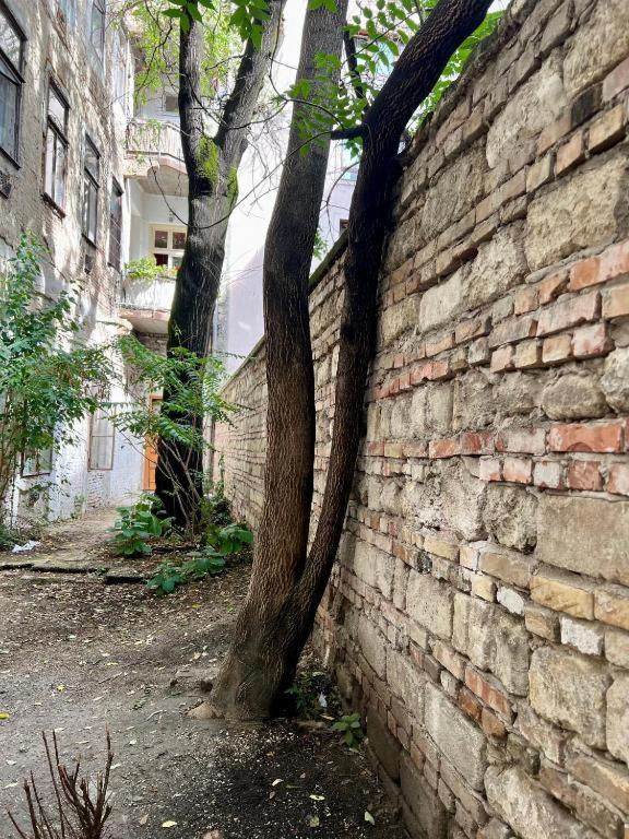Appartamento Gozsdu Court La Fontaine *